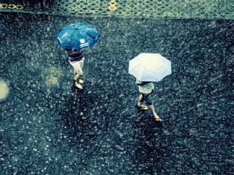 夢見下雨天|夢見下雨天